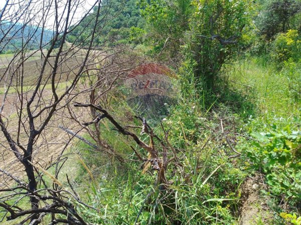 terreno agricolo in vendita a Castiglione di Sicilia in zona Gravà
