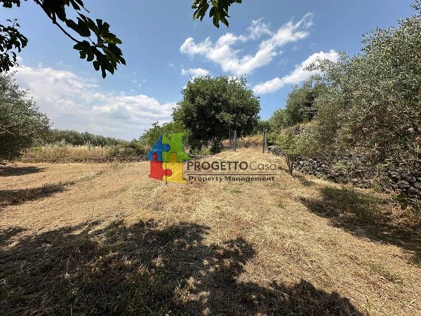 terreno agricolo in vendita a Castiglione di Sicilia
