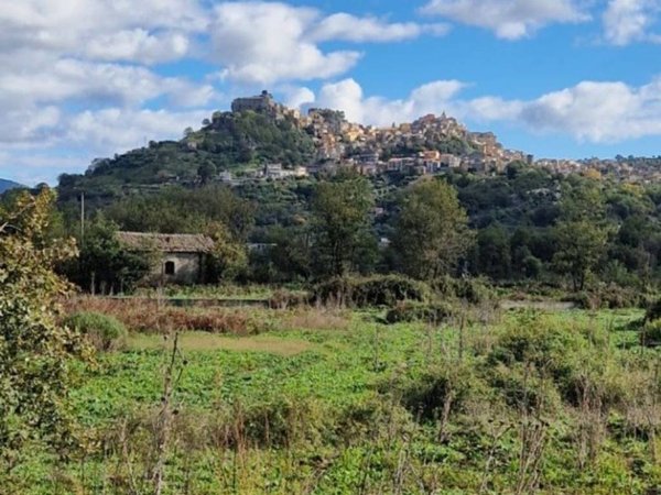 terreno agricolo in vendita a Castiglione di Sicilia