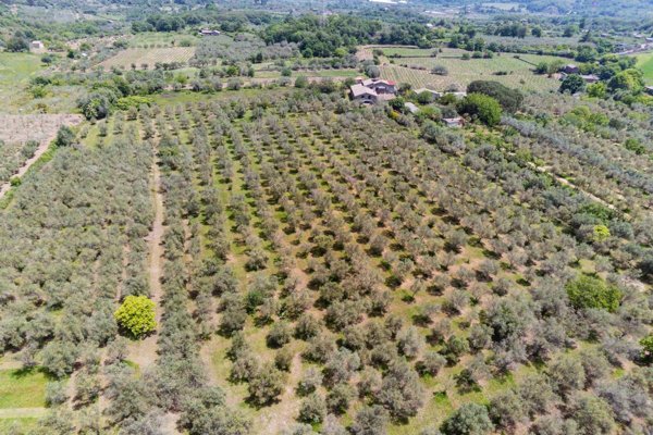 casa indipendente in vendita a Castiglione di Sicilia
