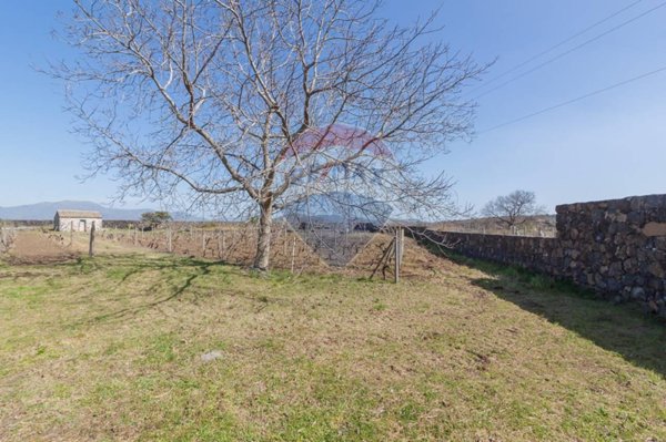 terreno agricolo in vendita a Castiglione di Sicilia in zona Solicchiata