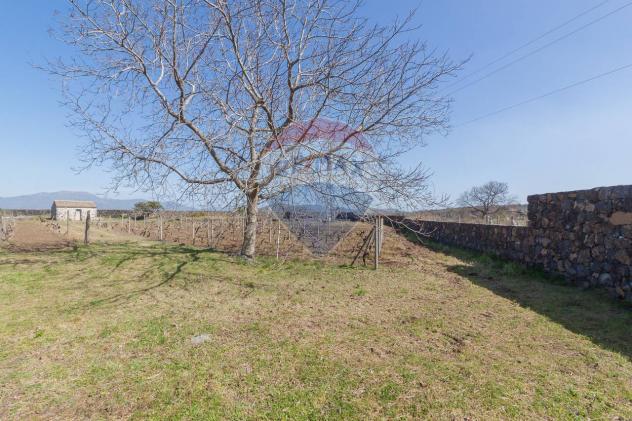 terreno agricolo in vendita a Castiglione di Sicilia in zona Solicchiata