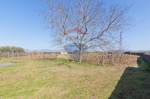 terreno agricolo in vendita a Castiglione di Sicilia in zona Solicchiata