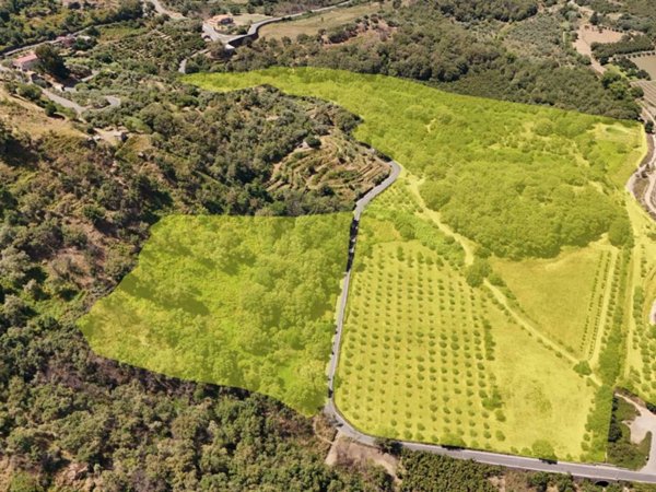 terreno agricolo in vendita a Castiglione di Sicilia