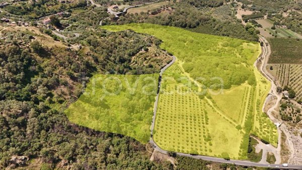 terreno agricolo in vendita a Castiglione di Sicilia