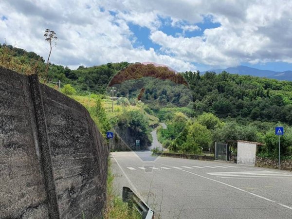 terreno agricolo in vendita a Castiglione di Sicilia