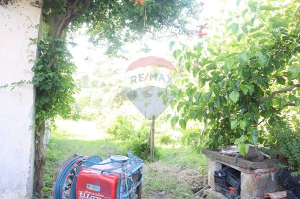 terreno agricolo in vendita a Castiglione di Sicilia