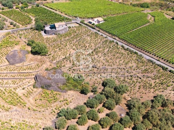 azienda agricola in vendita a Castiglione di Sicilia in zona Passopisciaro