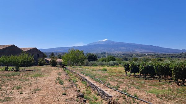 azienda agricola in vendita a Castiglione di Sicilia