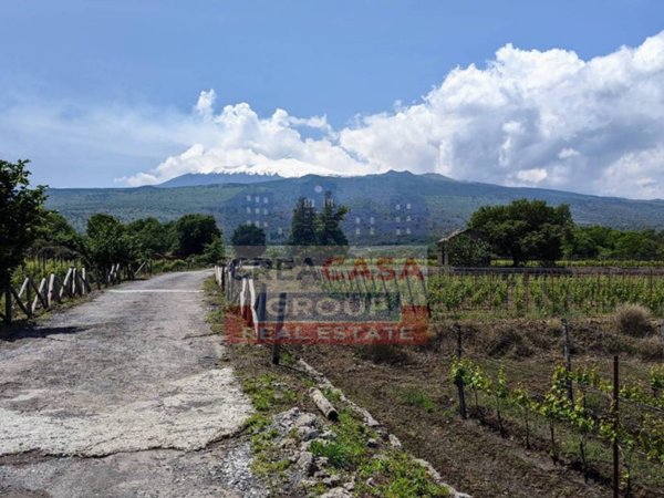 terreno agricolo in vendita a Castiglione di Sicilia