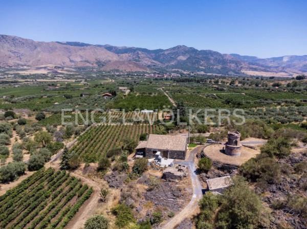 azienda agricola in vendita a Castiglione di Sicilia