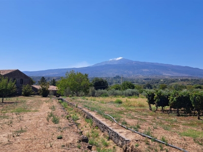 azienda agricola in vendita a Castiglione di Sicilia