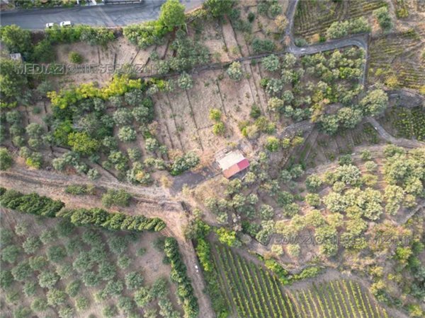 casale in vendita a Castiglione di Sicilia in zona Solicchiata