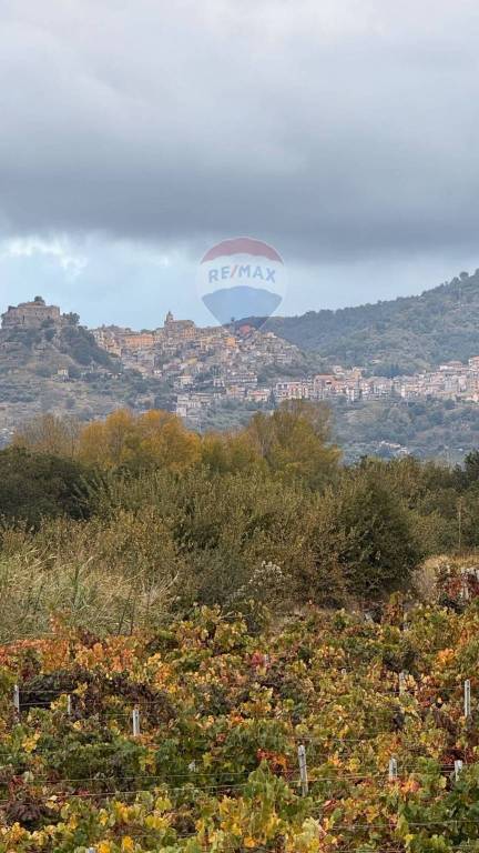 terreno agricolo in vendita a Castiglione di Sicilia