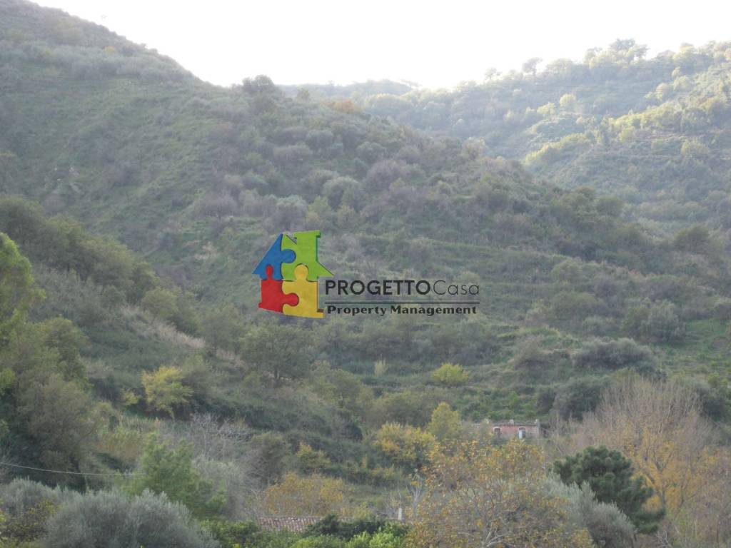 terreno agricolo in vendita a Castiglione di Sicilia in zona Mitogio