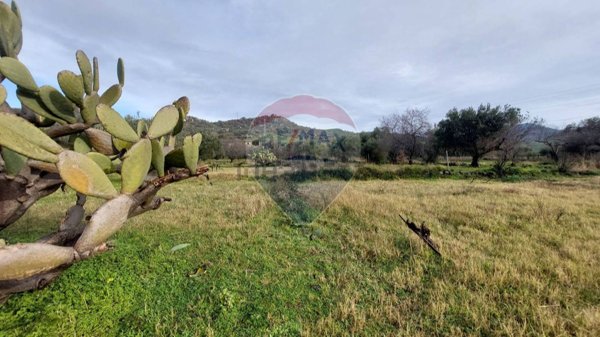 terreno agricolo in vendita a Castiglione di Sicilia