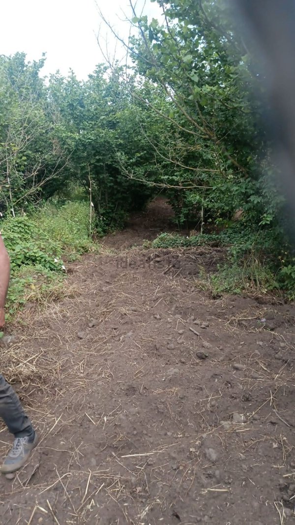 terreno agricolo in vendita a Castiglione di Sicilia