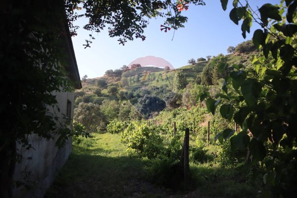 terreno agricolo in vendita a Castiglione di Sicilia