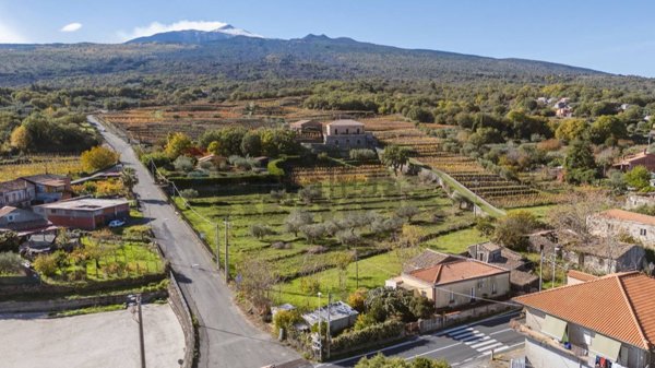 terreno edificabile in vendita a Castiglione di Sicilia in zona Rovittello