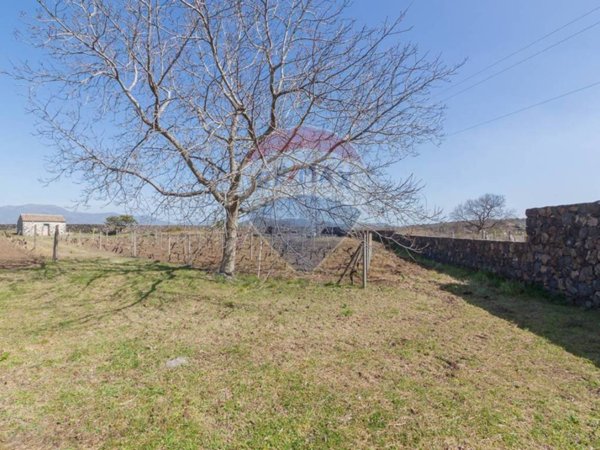 terreno agricolo in vendita a Castiglione di Sicilia in zona Solicchiata