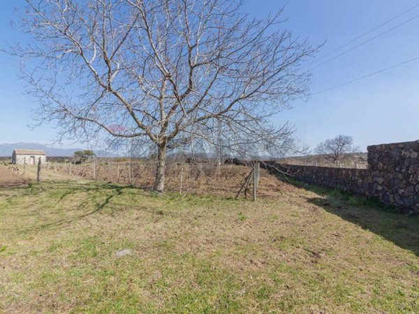 terreno agricolo in vendita a Castiglione di Sicilia in zona Solicchiata