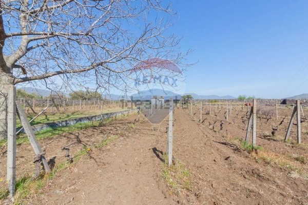 terreno agricolo in vendita a Castiglione di Sicilia in zona Solicchiata