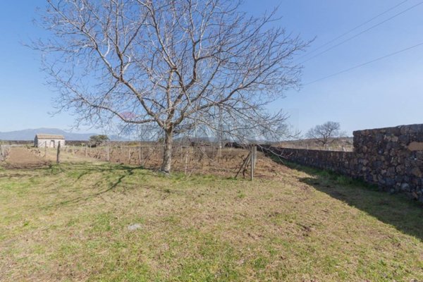 immagine annuncio 0 di 15