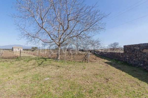 terreno agricolo in vendita a Castiglione di Sicilia in zona Solicchiata