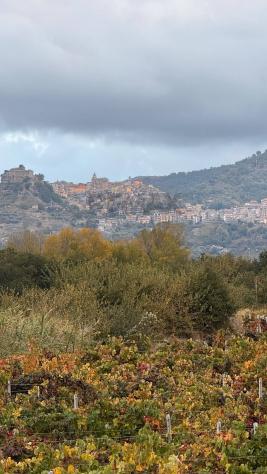 terreno agricolo in vendita a Castiglione di Sicilia