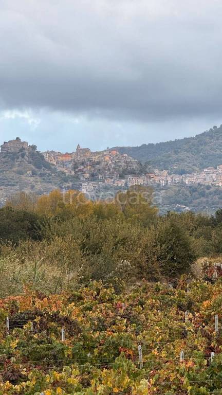terreno agricolo in vendita a Castiglione di Sicilia