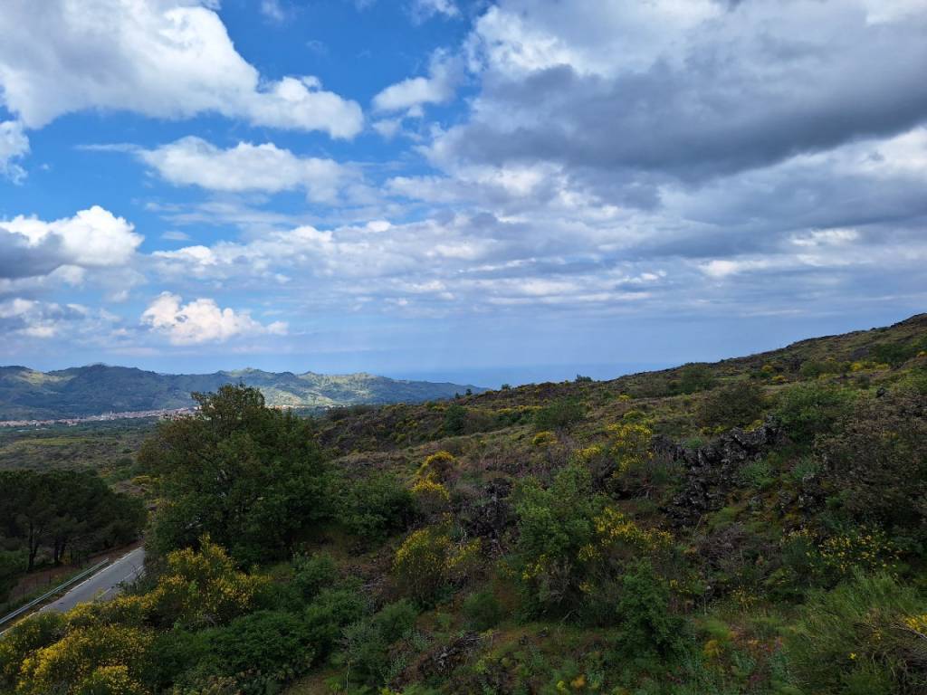 terreno agricolo in vendita a Castiglione di Sicilia in zona Solicchiata