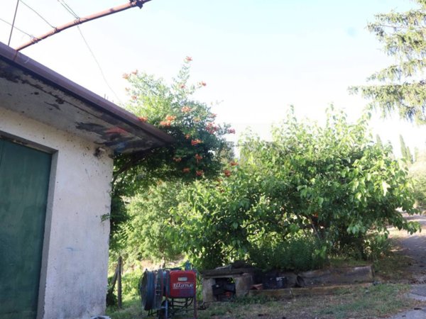 terreno agricolo in vendita a Castiglione di Sicilia