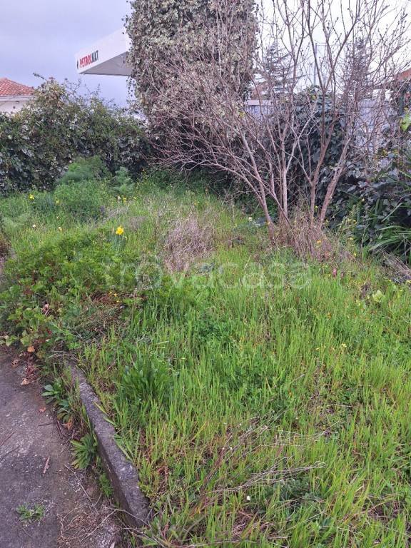 casa indipendente in vendita a Castiglione di Sicilia in zona Passopisciaro