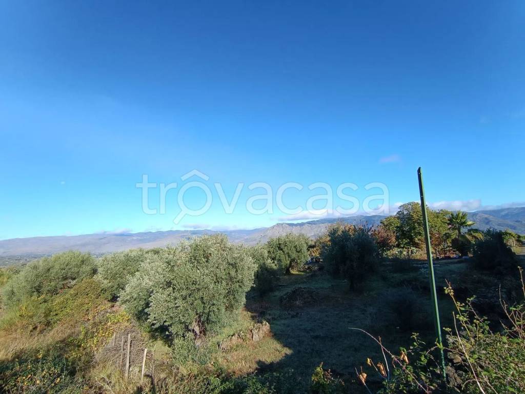 terreno agricolo in vendita a Castiglione di Sicilia in zona Solicchiata