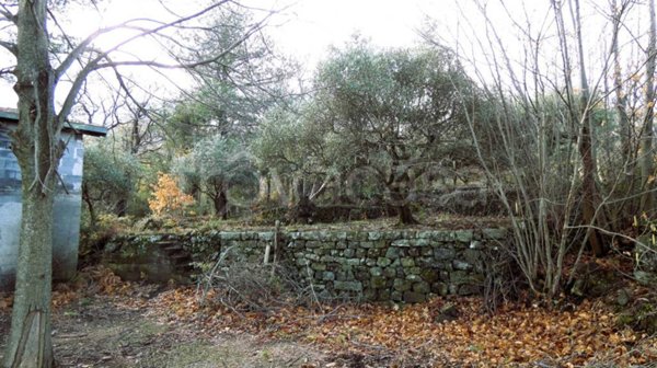 trivano in vendita a Castiglione di Sicilia