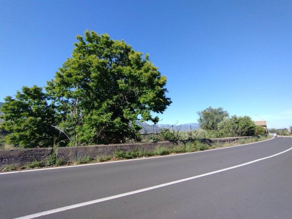 casa indipendente in vendita a Castiglione di Sicilia