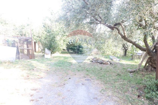 terreno agricolo in vendita a Castiglione di Sicilia