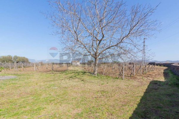 terreno agricolo in vendita a Castiglione di Sicilia in zona Solicchiata