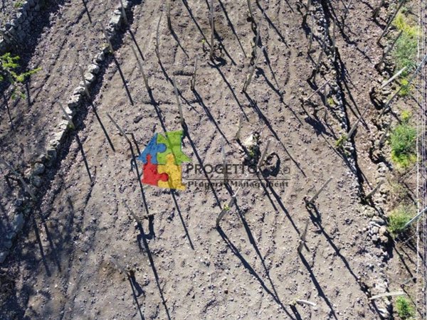 terreno agricolo in vendita a Castiglione di Sicilia in zona Gravà