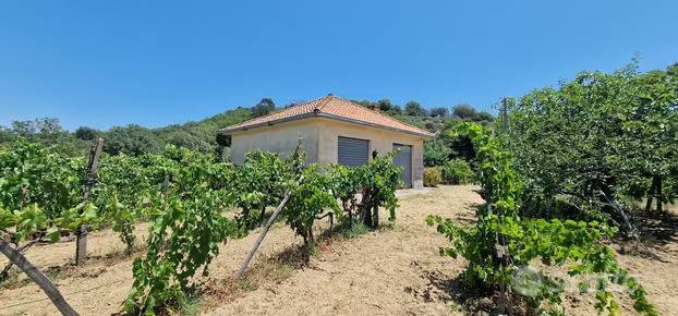 terreno agricolo in vendita a Castiglione di Sicilia