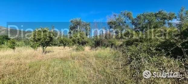 terreno agricolo in vendita a Castiglione di Sicilia
