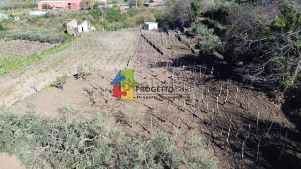 terreno agricolo in vendita a Castiglione di Sicilia in zona Gravà