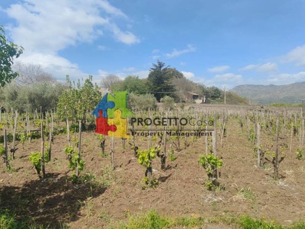 casa indipendente in vendita a Castiglione di Sicilia in zona Verzella