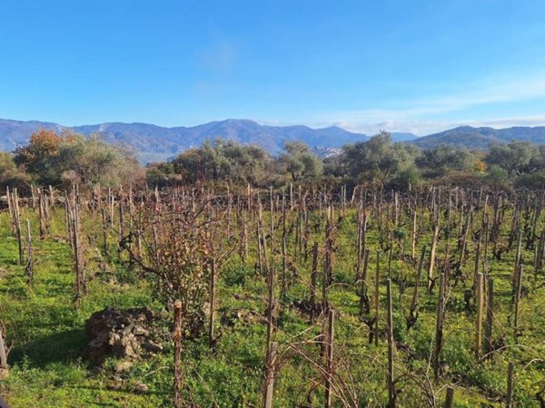 casa indipendente in vendita a Castiglione di Sicilia in zona Solicchiata