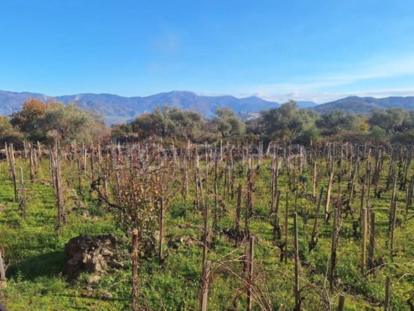 casa indipendente in vendita a Castiglione di Sicilia in zona Solicchiata
