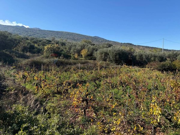 terreno agricolo in vendita a Castiglione di Sicilia in zona Solicchiata