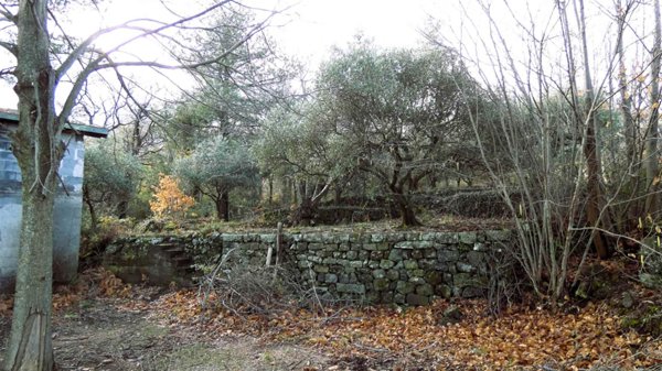 trivano in vendita a Castiglione di Sicilia