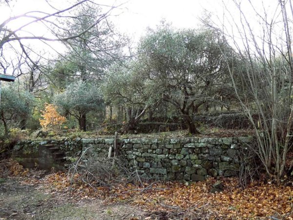 casale in vendita a Castiglione di Sicilia