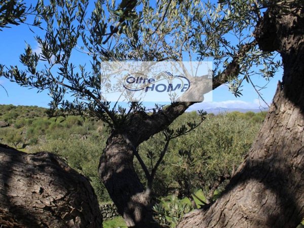 casa indipendente in vendita a Castiglione di Sicilia in zona Verzella