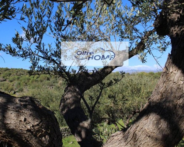 casa indipendente in vendita a Castiglione di Sicilia